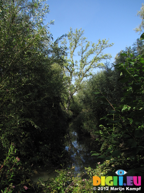 SX24022 Biesbosch